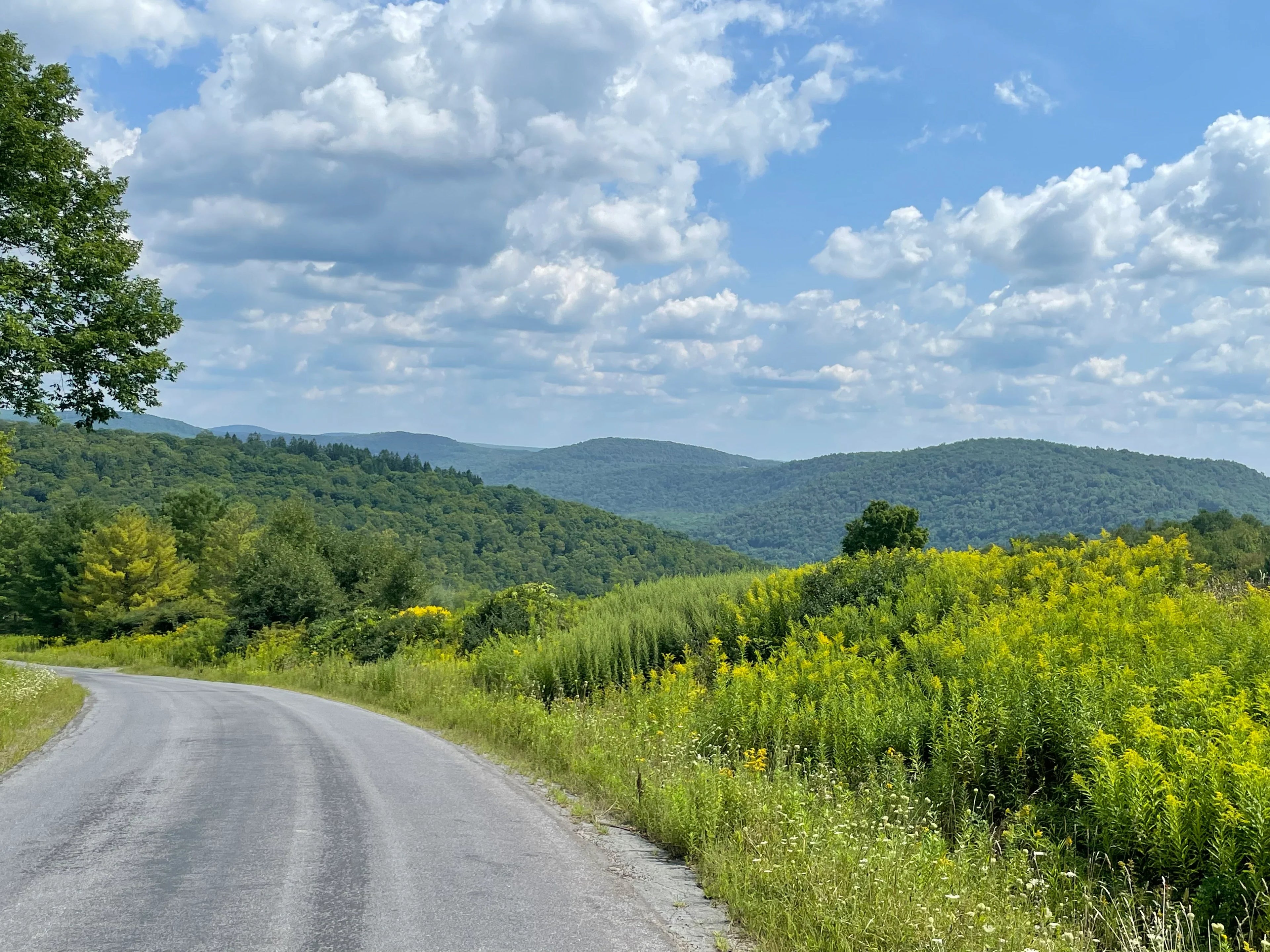 we're Catskills people: Livingston Manor and Roscoe, NY