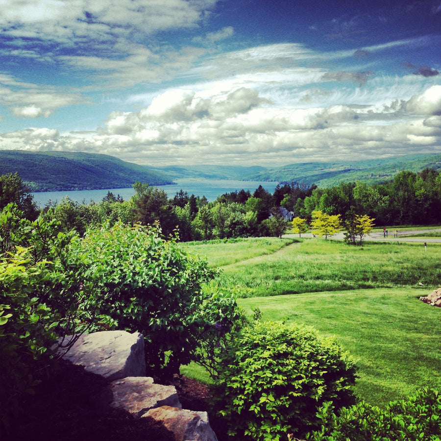 Finger Lakes + Rochester, NY: My Hometown