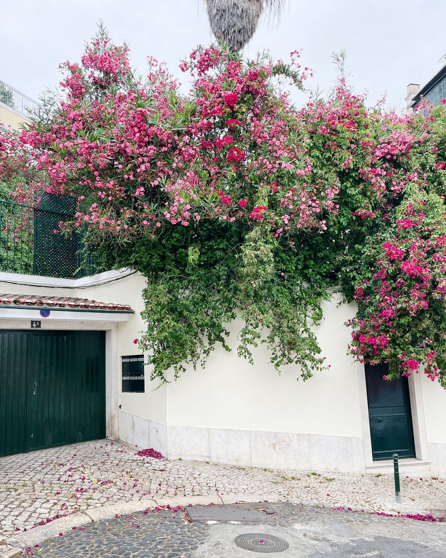 60 hours in portugal