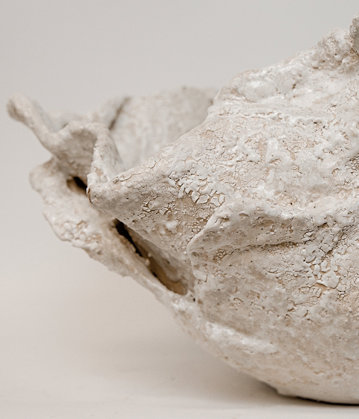 White Reef Series Open Vessel | XLarge | The Shine Studios