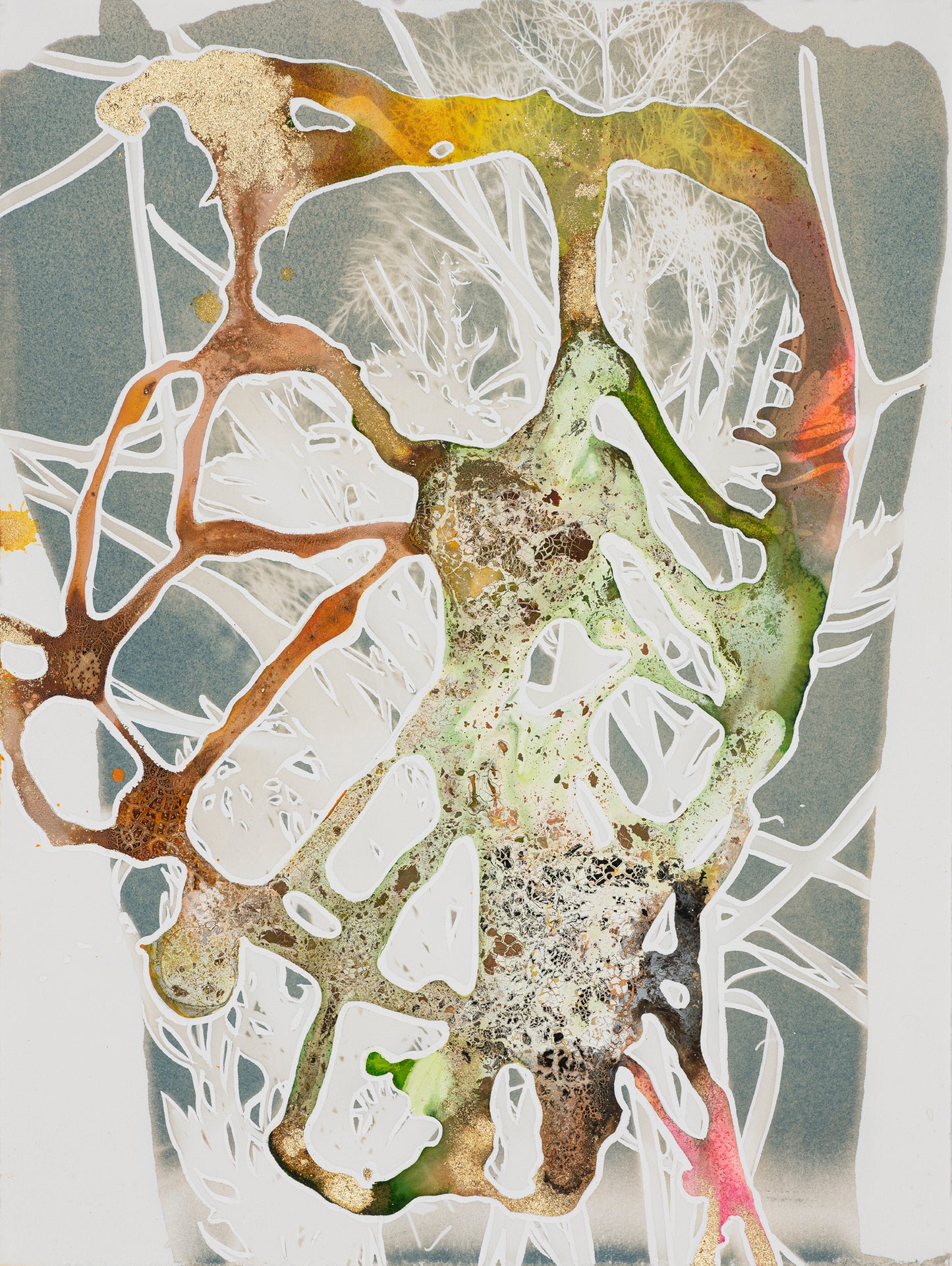 Caroline bullock costa flora series #10 ink art 11x15