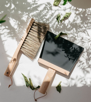 Natural Hand Brush and Dustpan Set