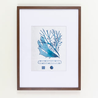 Blue Coral 1950's Lithograph