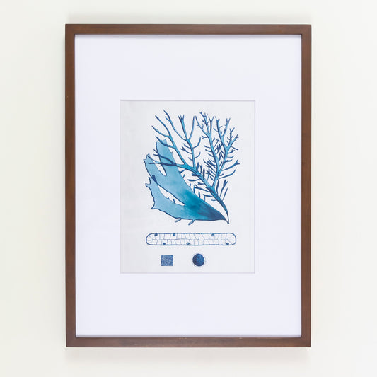Blue Coral 1950's Lithograph